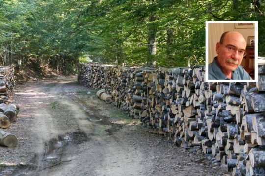 Δάση χωρίς… δασολόγους