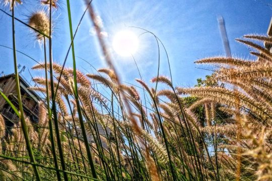 Επιμένουν τα 40άρια, αυξημένες συγκεντρώσεις σκόνης στην ατμόσφαιρα