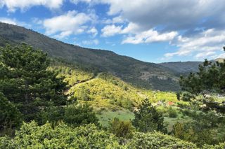 pindos