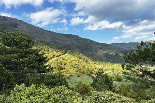 pindos