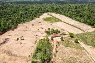 amazonios
