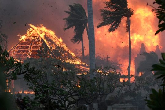 hawaii-pyrkagies
