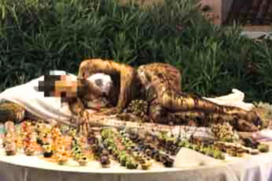 buffet-woman