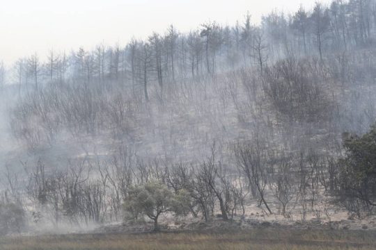 Αλεξανδρούπολη, πυρκαγιές