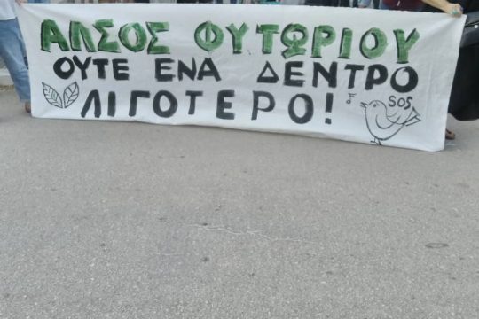 Άλσος φυτωρίου