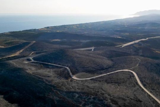 Δαδιά, καμένες εκτάσεις