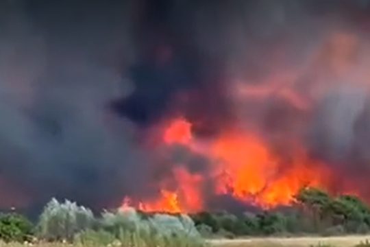 φωτιά στην Αλεξανδρούπολη