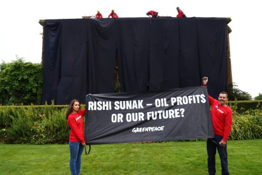 Greenpeace, Ρίσι Σούνακ