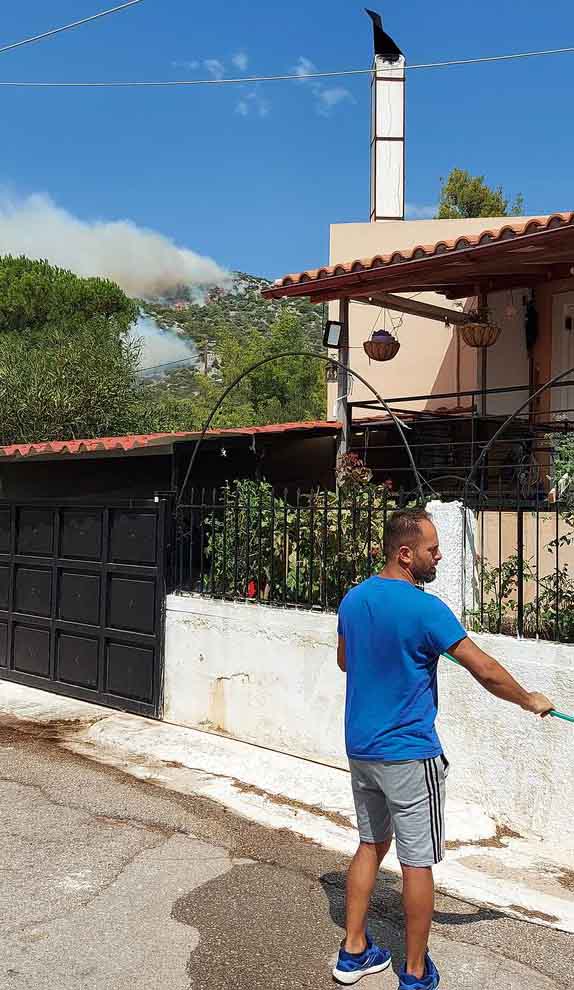 katoikos menidi
