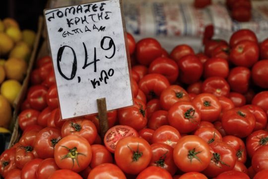 Ντομάτες