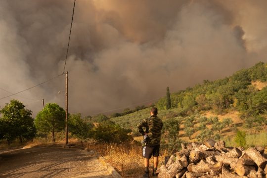 Συκορράχη Έβρου