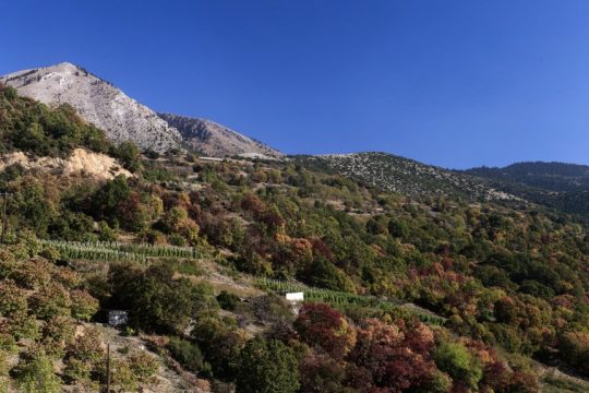 Βουνό