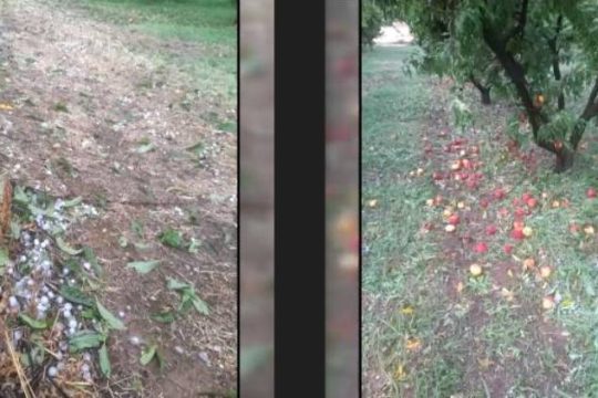 Kαταστροφές σε καλλιέργειες
