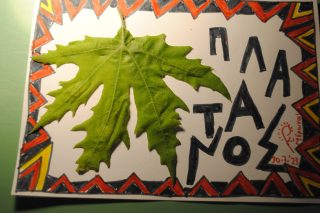 πλάτανος