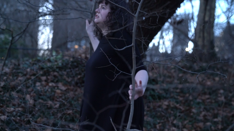 Michal Heiman, «The Affecting History of Louisa, The Wandering Maniac», μονοκάναλη βιντεοπροβολή, ήχος