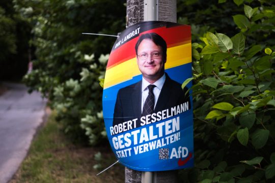 AfD, Γερμανία, ακροδεξιά