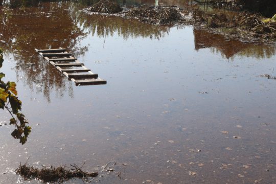 πλημμύρες, Θεσσαλία