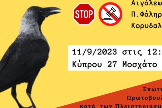 Διαμαρτυρία κατά των πλειστηριασμών