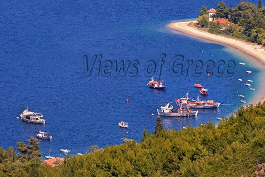 aidipsos