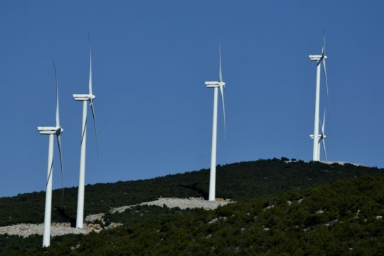 anemogenitries