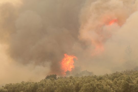 fotia-alexandroupoli
