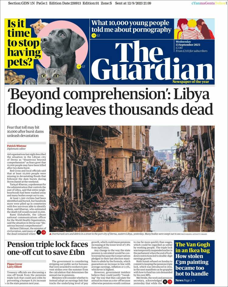 the guardian