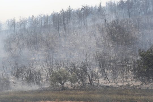 pyrkagia-evros