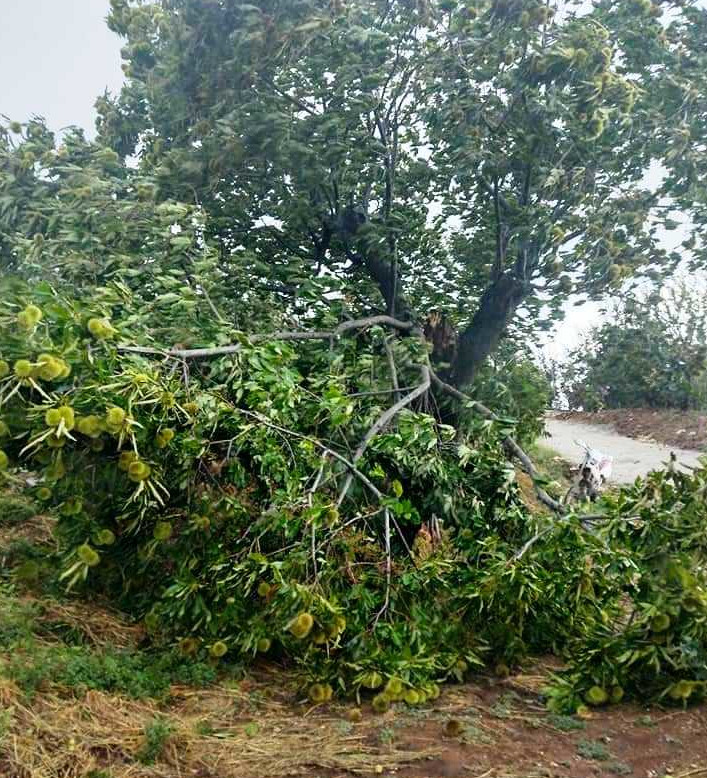 Ζαγορά καταστροφές