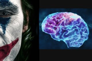Brain
