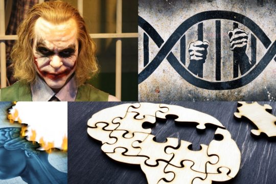 Βίαιη συμπεριφορά- εγκέφαλος