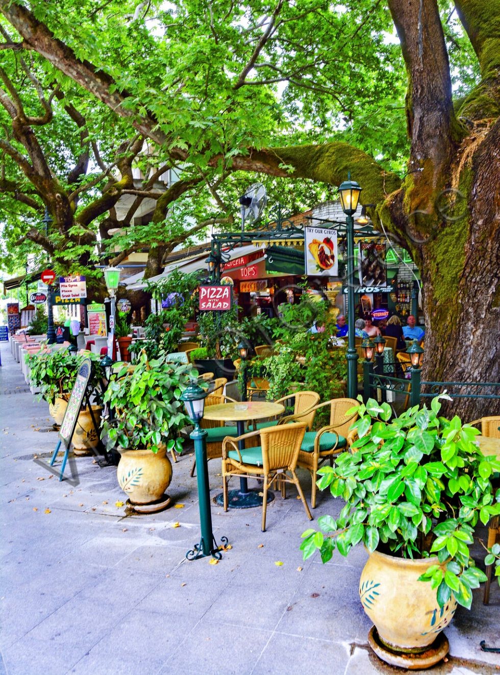 Στον κεντρικό πεζόδρομο της Αρχαίας Ολυμπίας είναι παρατεταγμένα στη σειρά τα εστιατόρια και οι καφετέριες