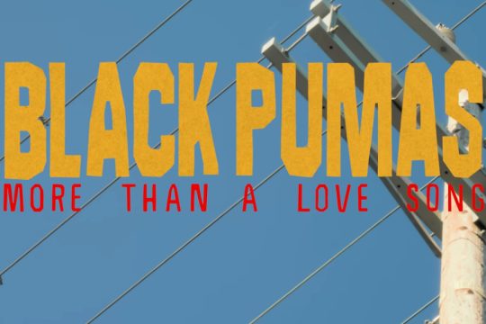 Black pumas