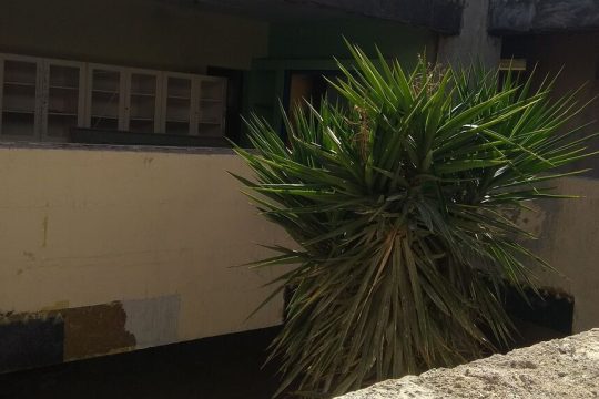 sxoleio-aigaleo