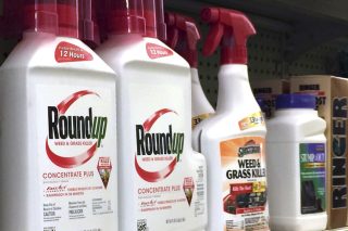 roundup