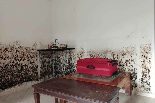 Σπίτι στο Σωτήριο. Η μούχλα αναπτύσσεται μέρα με τη μέρα