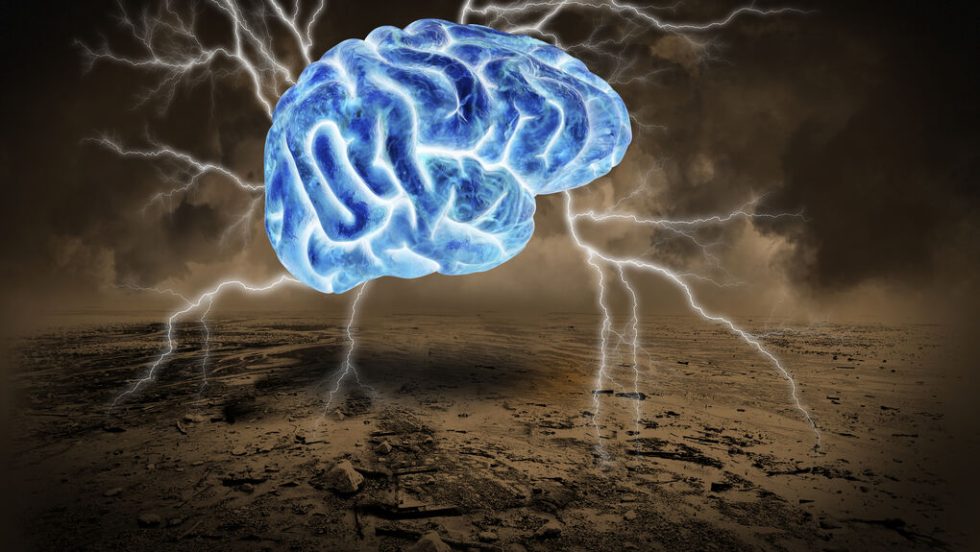 Brain
