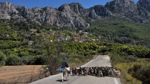 Αγνωστες φθινοπωρινές διαδρομές