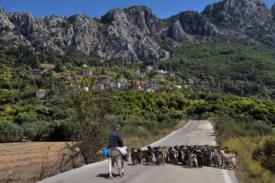 Πλησιάζοντας το χωριό Σαντομέρι