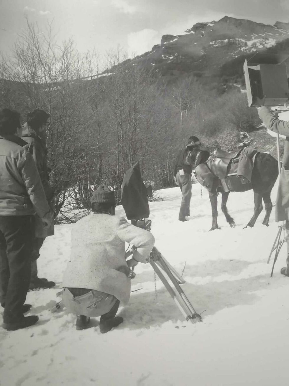 takis kanelopoulos