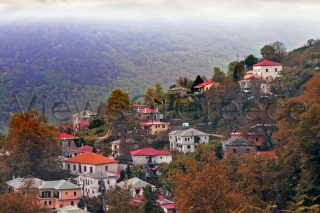 Ο Κισσός στα φθινοπωρινά του