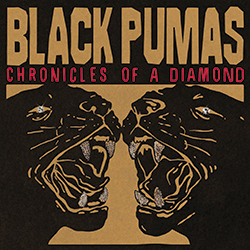 album-black-pumas