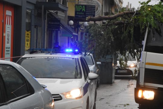 Περιπολικό