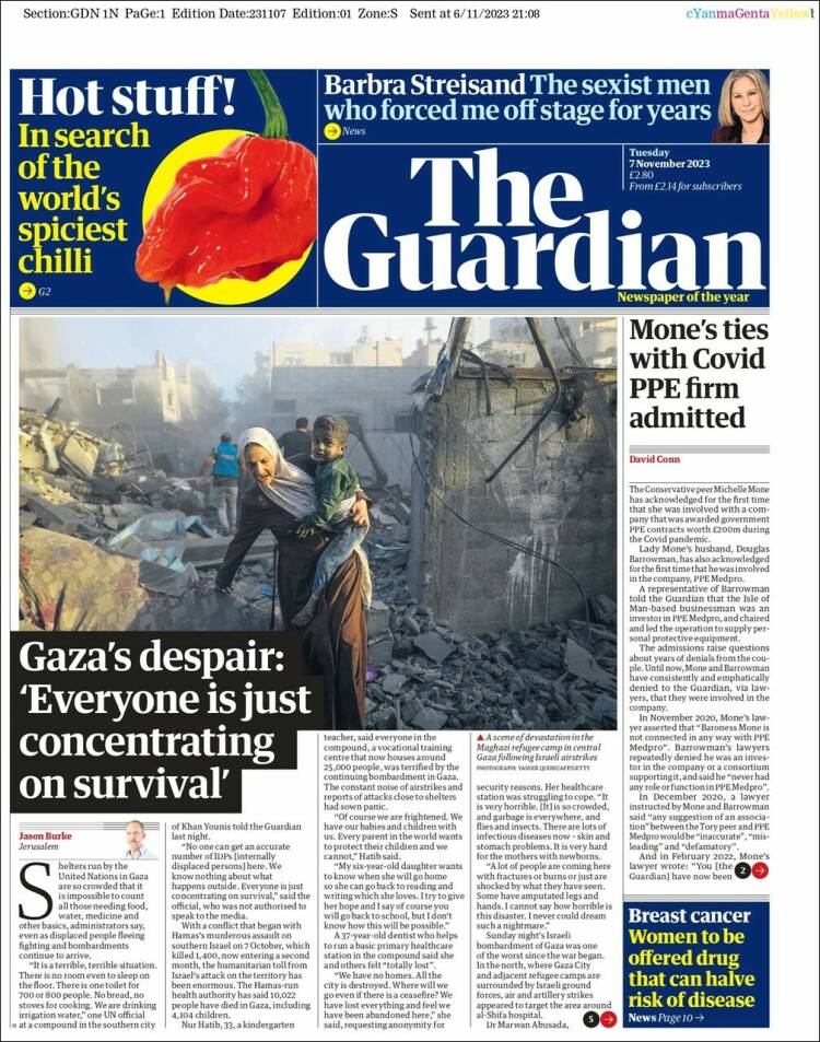 the guardian