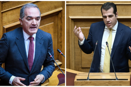 Ο Μάριος Σαλμάς και ο Θάνος Πλεύρης