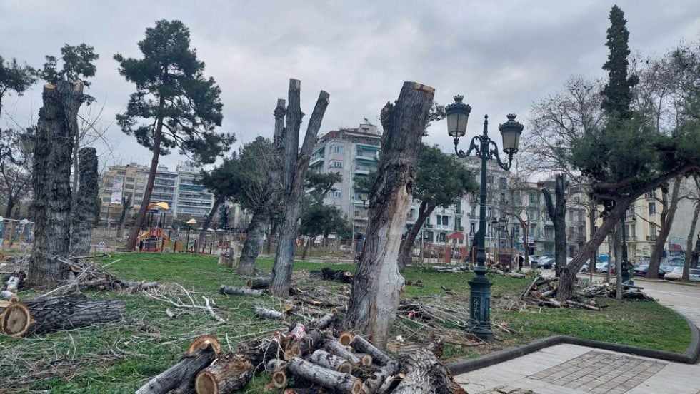 thessaloniki-dentra