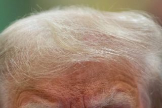 trump-mallia