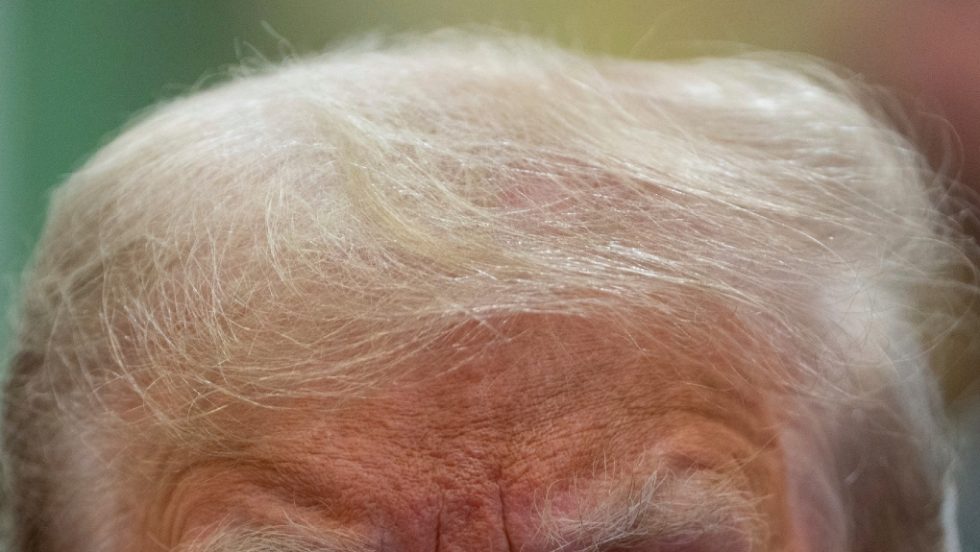 trump-mallia