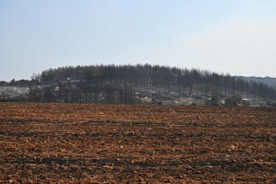 Καμένα δάση από την καταστροφική πυρκαγιά στον Εβρο και τη Ροδόπη