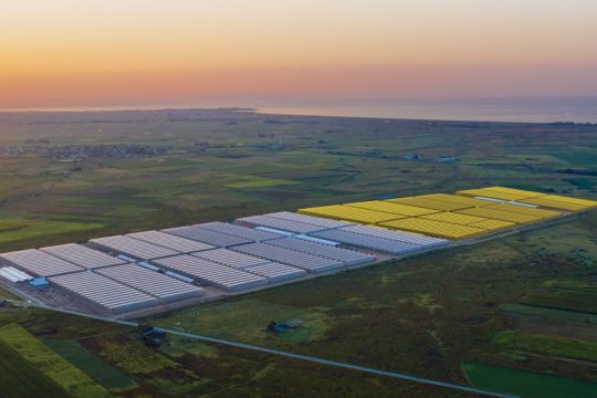Greenhouses_future