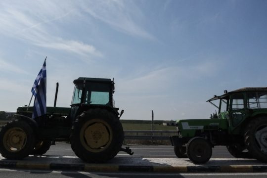 agrotes